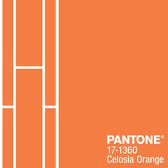 an orange poster with the words pantone in white lettering on it, and two vertical lines