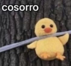 a stuffed duck is tied up to a tree with the caption cosoro