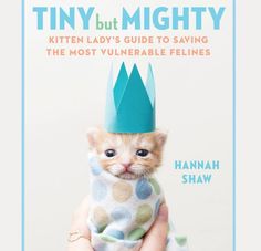 the cover of tiny but mighty kitten lady's guide to saving the most valuable felines