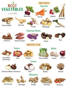 an image of vegetables that are labeled in english