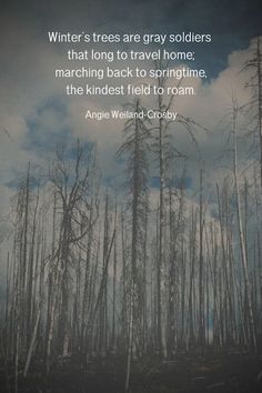 trees are gray soldiers that long to travel home marching back to springtime, the kindest field to roam