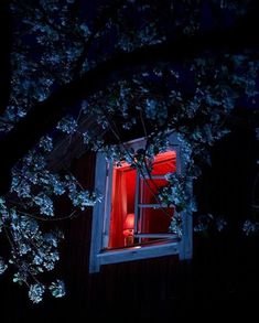 an open window at night with red light shining in the room and tree branches around it