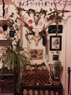 a living room filled with lots of antlers and plants