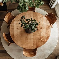 a round wooden table with chairs and a potted plant on top of it, viewed from above