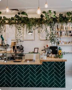 the interior of a coffee shop with plants growing on the wall and shelves above it