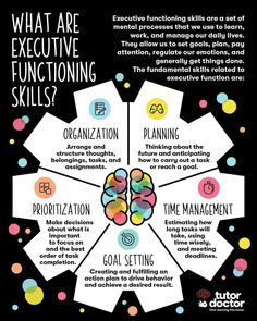 Executive skills are developed throughout childhood, adolescence, and early adulthood and they are integral to being a well rounded and productive adult. Early Adulthood, Learning Support, Best Selling Author, Executive Functioning, Counseling Resources, Educational Psychology