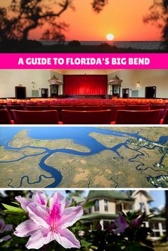 the sun is setting in florida's big bend and there are pink flowers on the ground