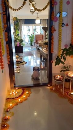 a dog sitting in the middle of a room with candles and decorations on the floor