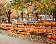 many pumpkins are stacked up in rows on the ground