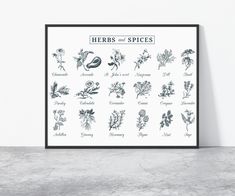 an illustration of herbs and spices on a white wall with black frame in the corner