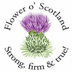 the logo for flower'o'scotland strong firm & trust, which is located in front of a thistle plant