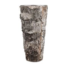 a tall vase made out of tree bark on a white background with clipping for text