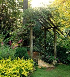 a garden with lots of trees and flowers