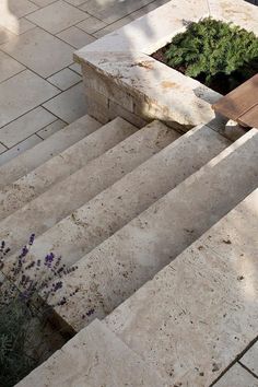 the steps are made of stone and have plants growing in them