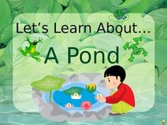 *BEST SELLER!*

This PowerPoint covers all of the basic facts about a pond (including pond habitats, classifying pond animals, nonliving parts of a pond, how ponds change in the spring and winter, living parts of a pond, life cycle of a frog, pond food/food chain, and pond survival) in a fun & interesting format for beginning elementary students. It includes vocabulary words and definitions and review questions! 

------------------------------------------------------------------------------------------------

*COMMENTS FROM PURCHASERS: 

"I can't WAIT to use this for the pond portion of my Habitats unit! Your PowerPoint is EXTREMELY thorough, covering seasons, living versus non-living, and Science vocabulary. Thank you so much for all of your hard work! You've made this content easily Pond Habitat, Life Cycle Of A Frog, Pond Animals, Frog Pond, Basic Language, Science Vocabulary, Pond Life, Positive Comments, Basic Facts