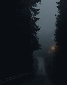 a foggy road with street lights and trees on both sides in the dark night