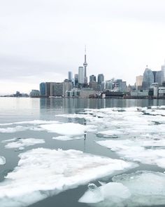 ice floes floating on the water in front of a city