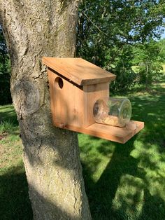 a wooden birdhouse attached to a tree in the grass with a glass jar on it