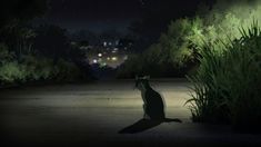 a cat sitting in the middle of a road at night with trees and bushes around it