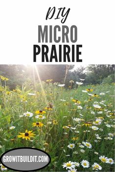 a field full of wildflowers with the words diy micro prairie