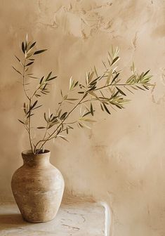 a plant in a vase sitting on a ledge