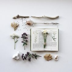 an open book sitting on top of a table next to dried flowers and leaves,