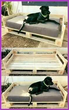 a dog laying on top of a couch made out of wooden pallets