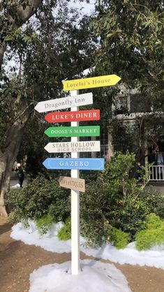 a street sign with many different colored signs on it's post in front of some trees