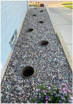 a gravel path with two holes in the middle and purple flowers growing on both sides