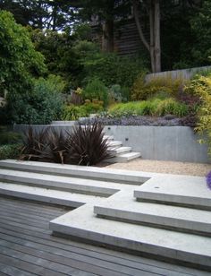 a wooden deck with steps leading up to it and plants growing on the side wall