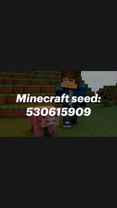 an image of a minecraft seed with the words,'minecraft seed '