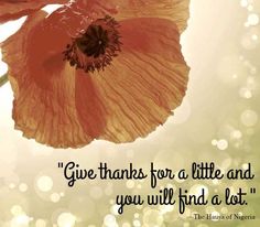 an orange flower with the quote give thanks for a little and you will find a lost