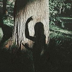 a person standing next to a large tree in the forest with their shadow on it