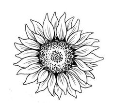 Sunflower Tattoo, Sunflower, Black And White, White, Black