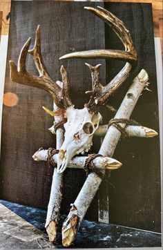 an animal skull with antlers on it's back