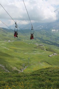 two people are riding on a zip line above the green hills and flowers in the foreground