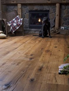 a dog sitting on the floor in front of a fire place