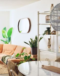 a living room filled with furniture and plants