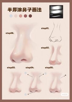 various stages of nose and nose shapes in different languages, including the word stop on each side