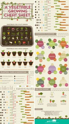 the vegetable growing chart is shown in this image, and it shows how many vegetables are grown