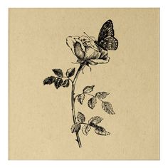 Rose with Butterfly Vintage Art Gender: unisex. Age Group: adult. Rose With Butterfly, Printable Butterfly, Butterfly Vintage, Throw Pillow Fabric, Butterfly And Flower, Butterfly Printable, Antique Images, Antique Illustration, Business Sales