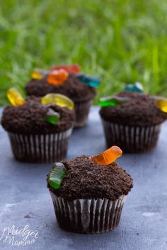 chocolate cupcakes with gummy bears on top and grass in the back ground