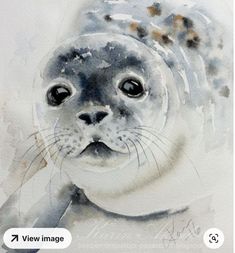 a watercolor painting of a seal in grey and white colors, with black spots on it's face