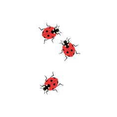 three red ladybugs sitting on top of each other in the middle of a white background