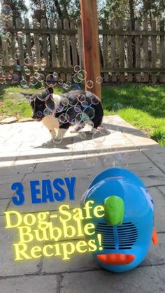 the dog is playing with bubbles on the patio and it's owner has to say, 3 easy dogs safe bubble recipes