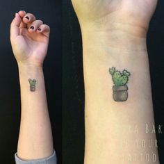 two tattoos on both wrist and arm, one with a potted plant