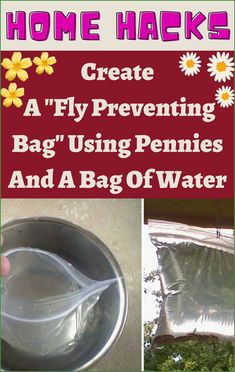 the instructions for how to make a fly preventing bag / using pennies and a bag of water