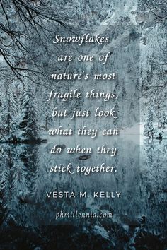 a quote from vesta m kelly about snowflakes, nature's most fragile things but just look what they can do when they stick together