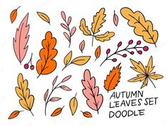 the autumn leaves set doodle