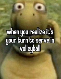 a turtle with the caption when you relize it's your turn to serve in volleyball